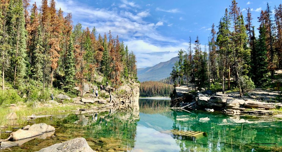 Jasper National Park 